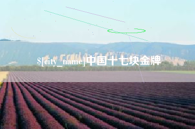 临沧中国十七块金牌