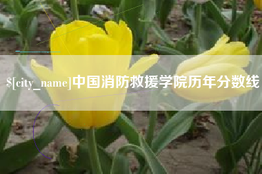 临沧中国消防救援学院历年分数线