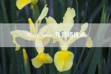 临沧九宫格优点
