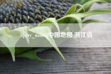 临沧中国地图 浙江省
