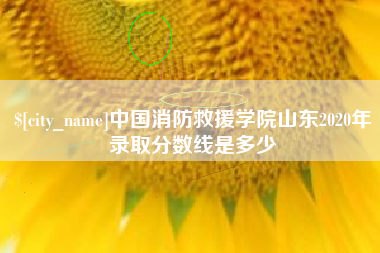 临沧中国消防救援学院山东2020年录取分数线是多少