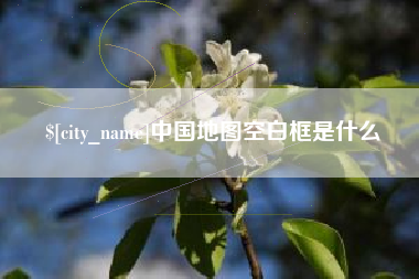 临沧中国地图空白框是什么