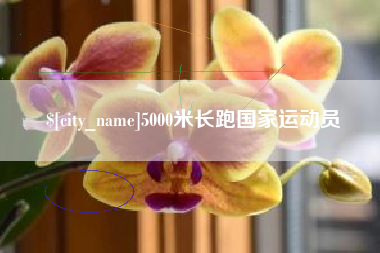 临沧5000米长跑国家运动员