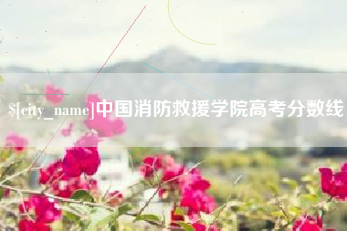 临沧中国消防救援学院高考分数线