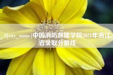 临沧中国消防救援学院2021年浙江省录取分数线
