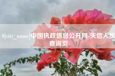 临沧中国执政信息公开网-失信人员查询页