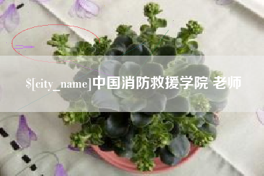 临沧中国消防救援学院 老师