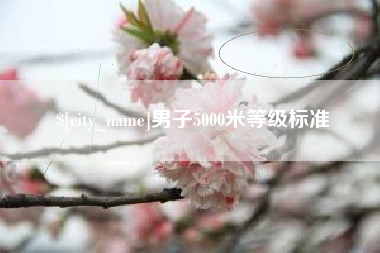 临沧男子5000米等级标准