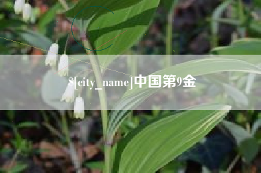 临沧中国第9金