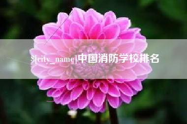 临沧中国消防学校排名