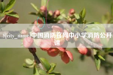 临沧中国消防官网中小学消防公开课