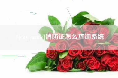 临沧消防证怎么查询系统