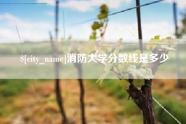 临沧消防大学分数线是多少