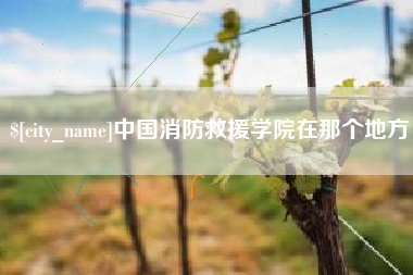 临沧中国消防救援学院在那个地方