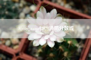临沧2021消防分数线