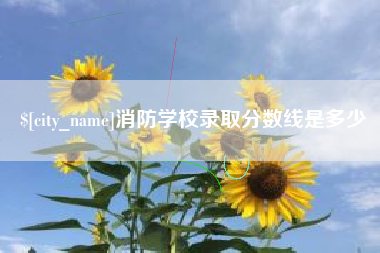 临沧消防学校录取分数线是多少