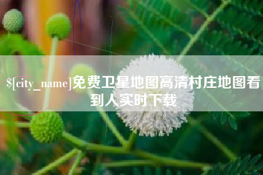 临沧免费卫星地图高清村庄地图看到人实时下载