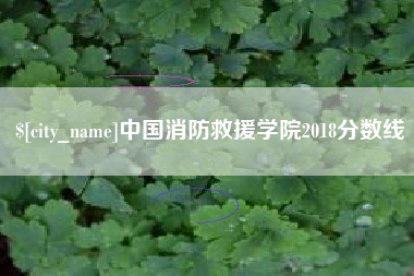 临沧中国消防救援学院2018分数线