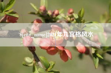 临沧2021年九宫格风水