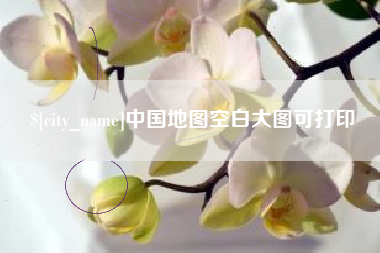 临沧中国地图空白大图可打印