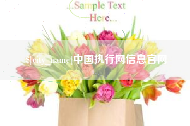 临沧中国执行网信息官网
