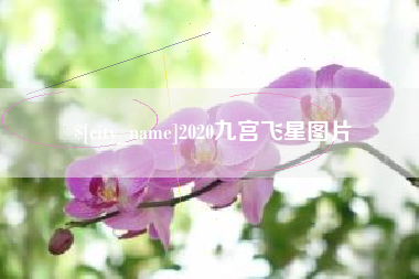 临沧2020九宫飞星图片