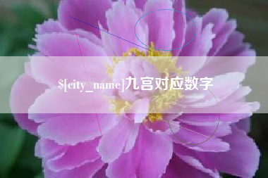 临沧九宫对应数字