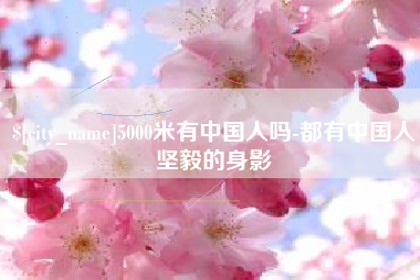 临沧5000米有中国人吗-都有中国人坚毅的身影