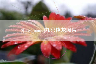 临沧九宫格龙图片