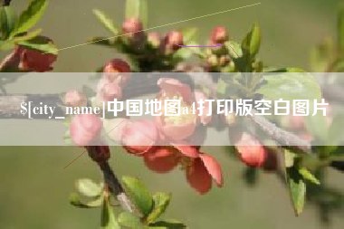 临沧中国地图a4打印版空白图片