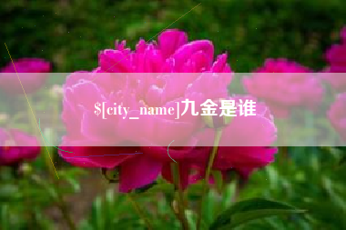 临沧九金是谁