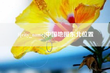 临沧中国地图东北位置