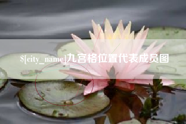 临沧九宫格位置代表成员图