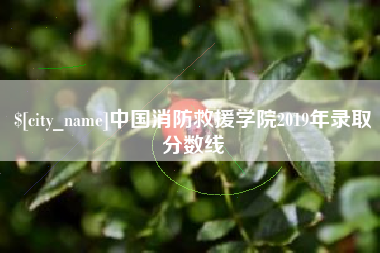 临沧中国消防救援学院2019年录取分数线