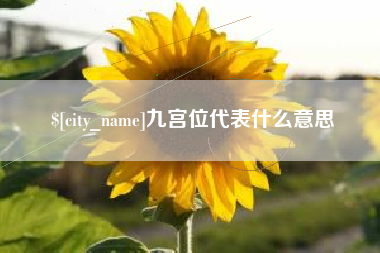 临沧九宫位代表什么意思