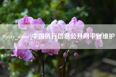 临沧中国执行信息公开网平台维护