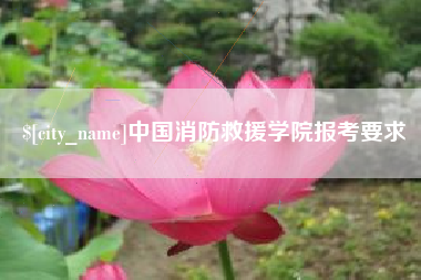 临沧中国消防救援学院报考要求