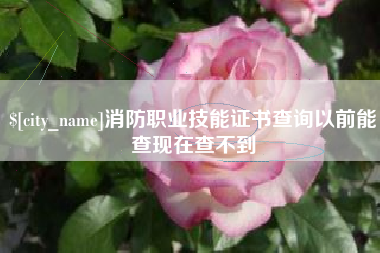 临沧消防职业技能证书查询以前能查现在查不到