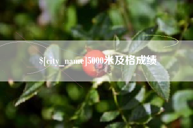 临沧5000米及格成绩