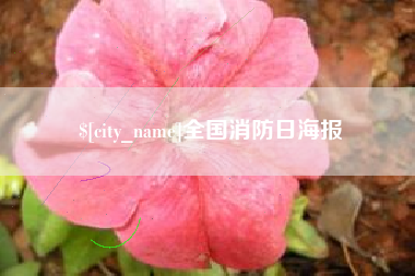临沧全国消防日海报