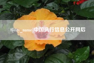 临沧中国执行信息公开网后