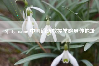 临沧中国消防救援学院具体地址