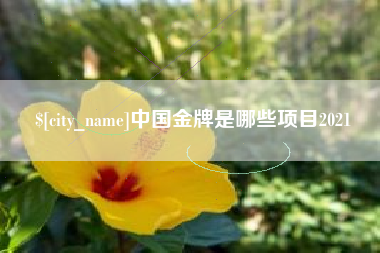 临沧中国金牌是哪些项目2021