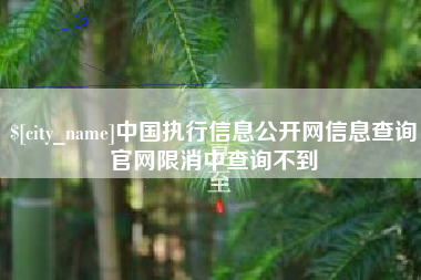 临沧中国执行信息公开网信息查询官网限消中查询不到
