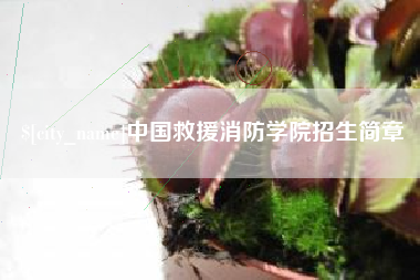 临沧中国救援消防学院招生简章