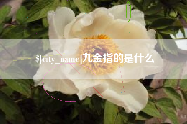 临沧九金指的是什么