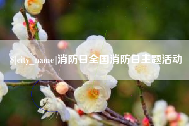临沧消防日全国消防日主题活动
