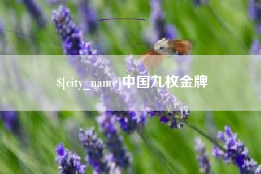 临沧中国九枚金牌
