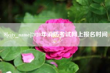 临沧2020年消防考试网上报名时间