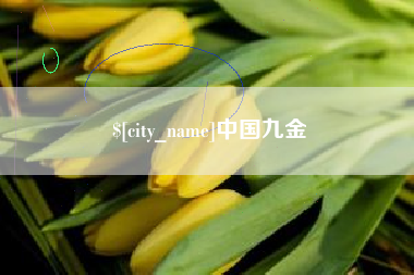 临沧中国九金